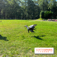 Espace Rambouillet - IMG 4462