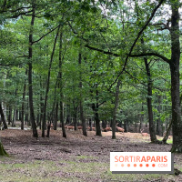 Espace Rambouillet