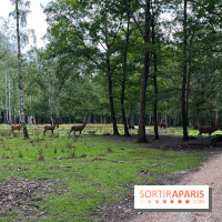 Espace Rambouillet