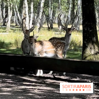 Espace Rambouillet - IMG 4544