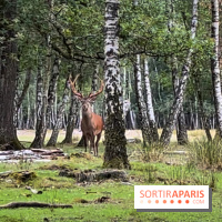 Espace Rambouillet - IMG 4546