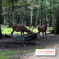 Espace Rambouillet - IMG 4547