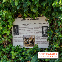 Bourron-Marlotte, village de Seine-et-Marne -  A7C9334