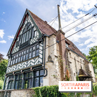 Village de Bois-le-Roi : les Affolantes en bord de Seine -  A7C8860