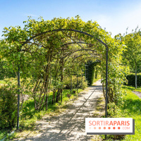 Parc de La Croix du Bois à Voisins-le-Bretonneux -  A7C4049