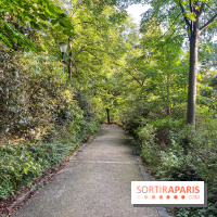 Le parc de Belleville - image00057