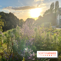 Le parc de Belleville - image00027