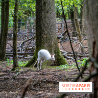 Le village de Janvry en Haute Vallée de Chevreuse  -  A7C0015