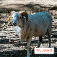 Le village de Janvry en Haute Vallée de Chevreuse  -  A7C0060