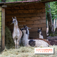 Le village de Janvry en Haute Vallée de Chevreuse  -  A7C0046