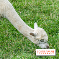 Le village de Janvry en Haute Vallée de Chevreuse  -  A7C9966