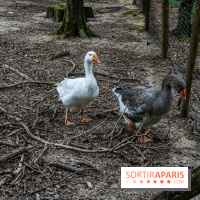 Le village de Janvry en Haute Vallée de Chevreuse  -  A7C0001