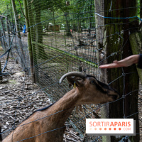 Le village de Janvry en Haute Vallée de Chevreuse  -  A7C9984