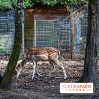 Le village de Janvry en Haute Vallée de Chevreuse  -  A7C0052