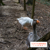 Le village de Janvry en Haute Vallée de Chevreuse  -  A7C0003