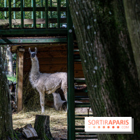 Le village de Janvry en Haute Vallée de Chevreuse  -  A7C0041