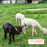 Le village de Janvry en Haute Vallée de Chevreuse  -  A7C9962