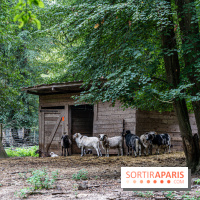 Le village de Janvry en Haute Vallée de Chevreuse  -  A7C9991