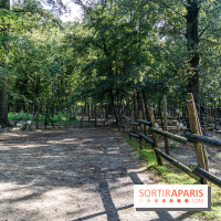 Le village de Janvry en Haute Vallée de Chevreuse  -  A7C0062