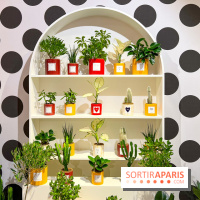 Olé, Olé, la nouvelle exposition du Bon Marché Rive Gauche - image00049