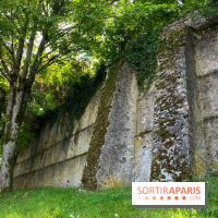 Provins, cité médiévale