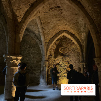 Provins, cité médiévale