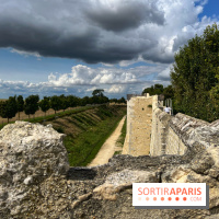 Provins, cité médiévale