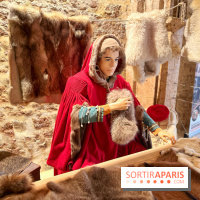 Provins, cité médiévale - IMG 4637