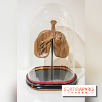 Exposition Organessence Ono galerie La Lison