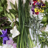 Paris Rooftop Days : découvrez 5 Rooftops insolites - crate garden 02