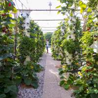 Paris Rooftop Days : découvrez 5 Rooftops insolites - natureurbaine 02