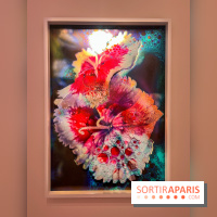 Poetry of Earth de Maya Rochat - image00014