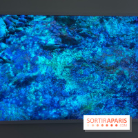 Poetry of Earth de Maya Rochat - image00015