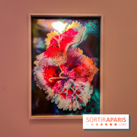 Poetry of Earth de Maya Rochat - image00002