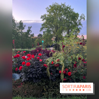 Festival Silhouette au parc de la Butte du Chapeau Rouge - image00007