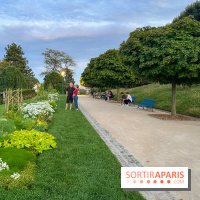 Festival Silhouette au parc de la Butte du Chapeau Rouge - image00004