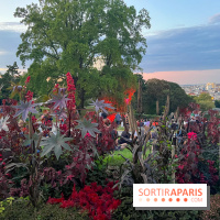 Festival Silhouette au parc de la Butte du Chapeau Rouge - image00005