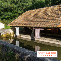 Folies lavoirs, les lavoirs des Yvelines et de la Vallée de Chevreuse accueillent l'art contemporain -  A7C0193