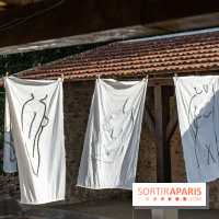 Folies lavoirs, les lavoirs des Yvelines et de la Vallée de Chevreuse accueillent l'art contemporain -  A7C0165