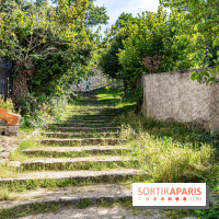 Village de Rochefort en Yvelines -  A7C0261