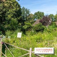 Village de Rochefort en Yvelines