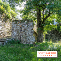 Village de Rochefort en Yvelines -  A7C0262