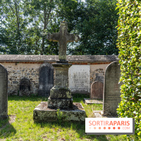 Village de Rochefort en Yvelines -  A7C0271