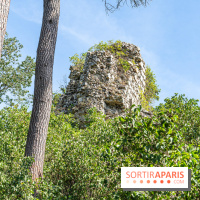 Village de Rochefort en Yvelines -  A7C0273