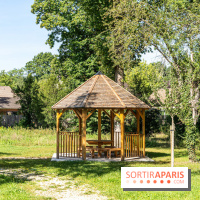 Village de Rochefort en Yvelines -  A7C0251