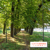 Village de Dampierre en Yvelines  -  A7C0153