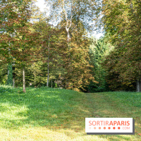 Village de Dampierre en Yvelines  -  A7C0145