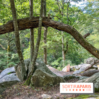 Les Vaux de Cernay en Vallée de Chevreuse - Cernay-la-Ville