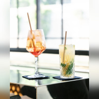 Le Son de la Terre - image00004