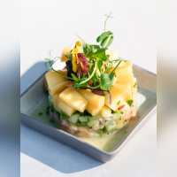 Le Son de la Terre - Son de la Terre 235